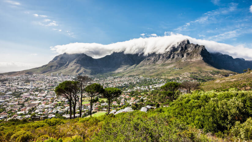 Inaugural SABPA symposium: Ensuring access to and benefit sharing for Southern African botanicals