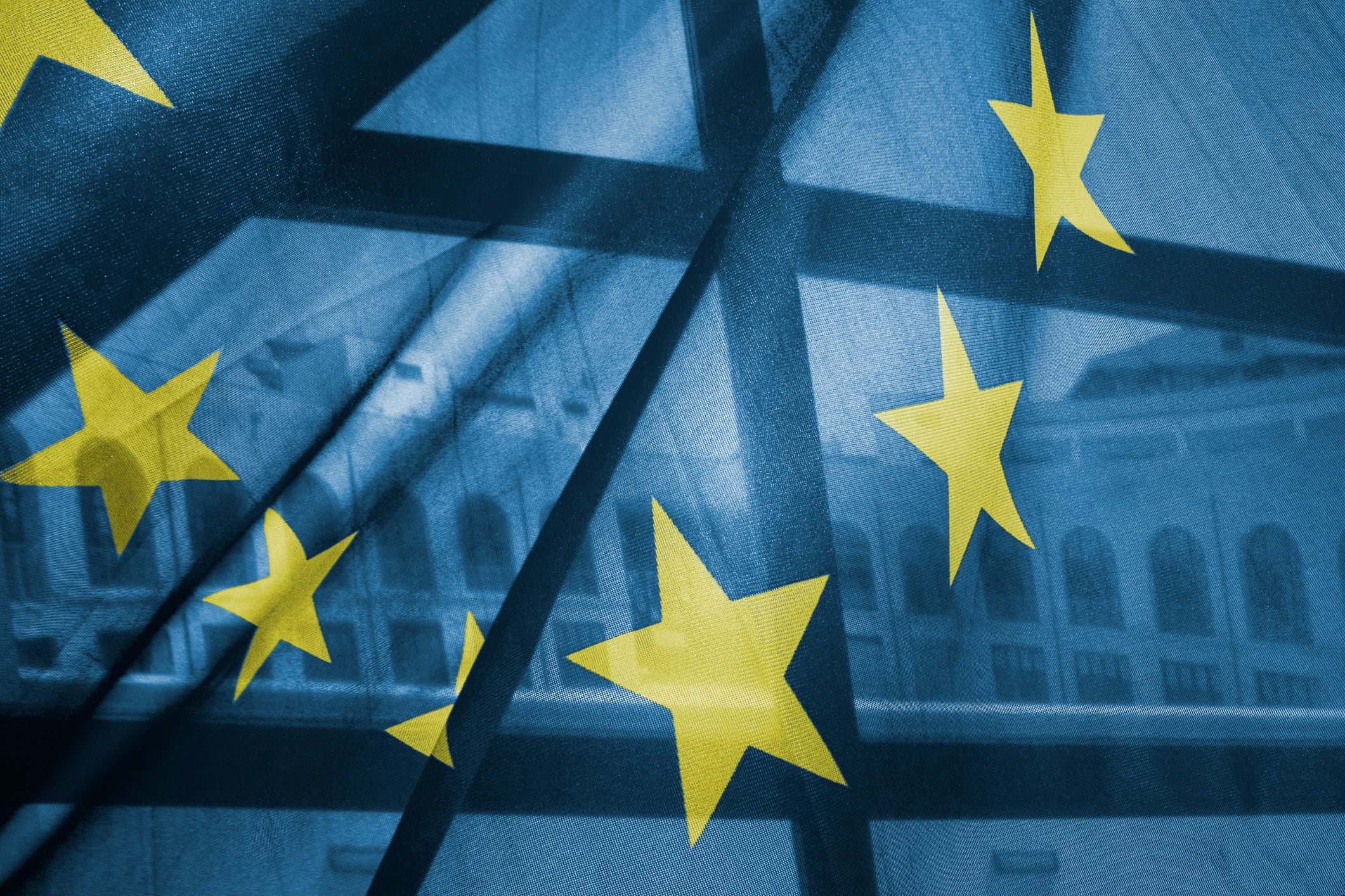 Asian firms eye EU market, urged to plan early for regulatory