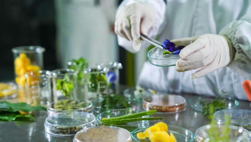 Botanical safety: Tools needed to decode the &lsquo;most creative