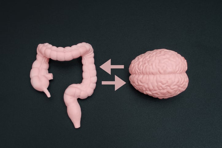 Can soluble corn fiber support cognitive function? Study points to