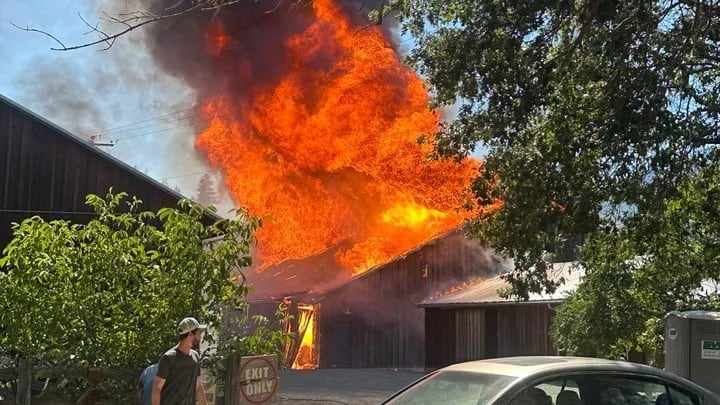 Despite fire, Oshala Farm owners pledge to carry