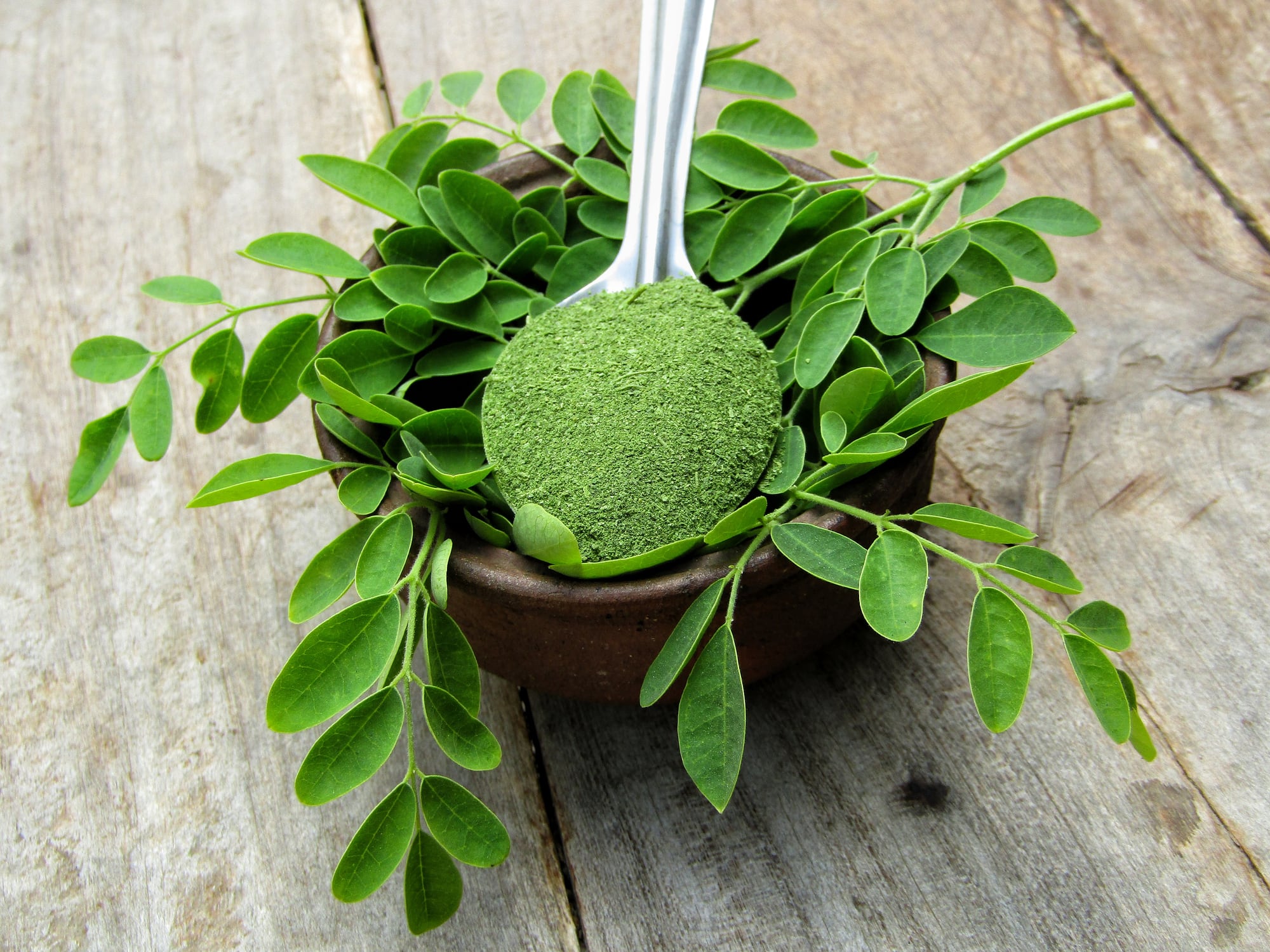 Moringa recalls spotlight pathogen risks across botanical supply chains