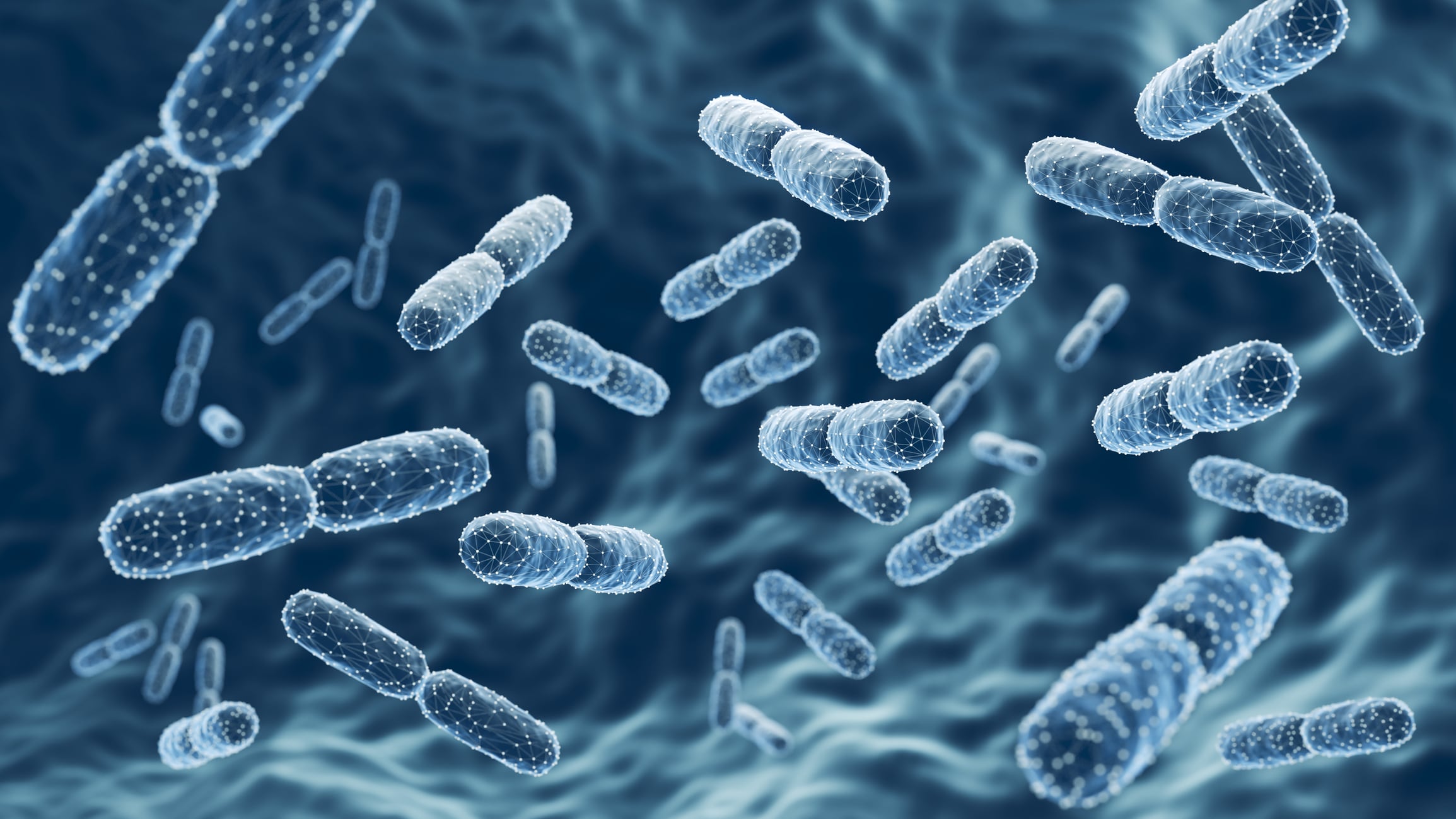 Six-month trial confirms safety of previously uncharacterized probiotic strain