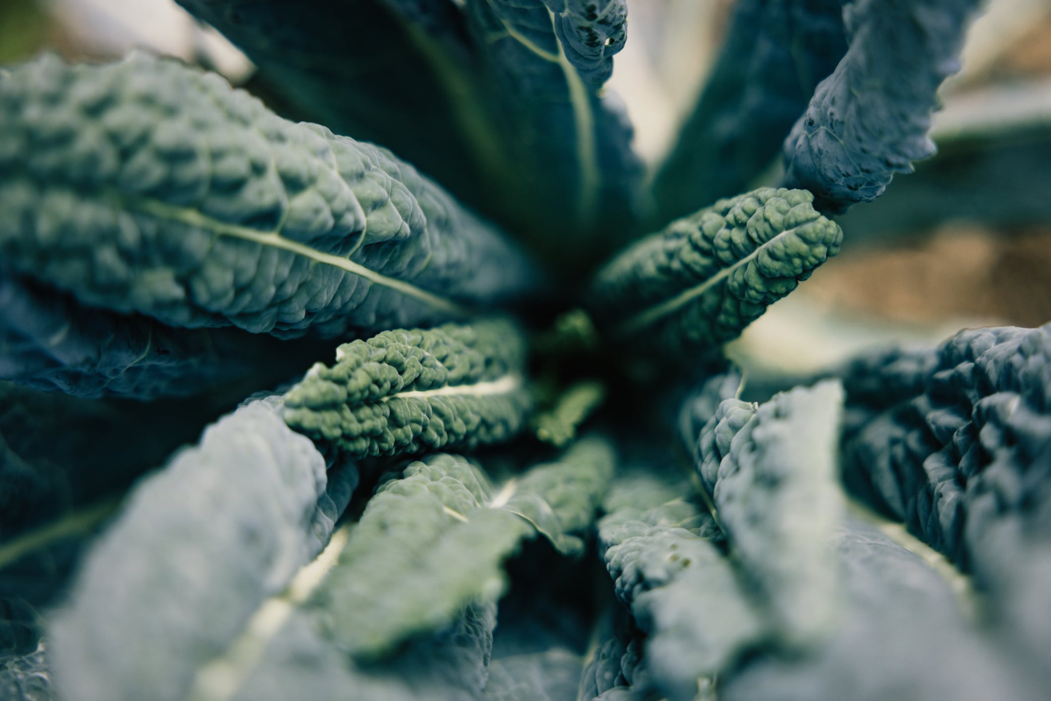 Sulforaphane supplement moves conversion outside the