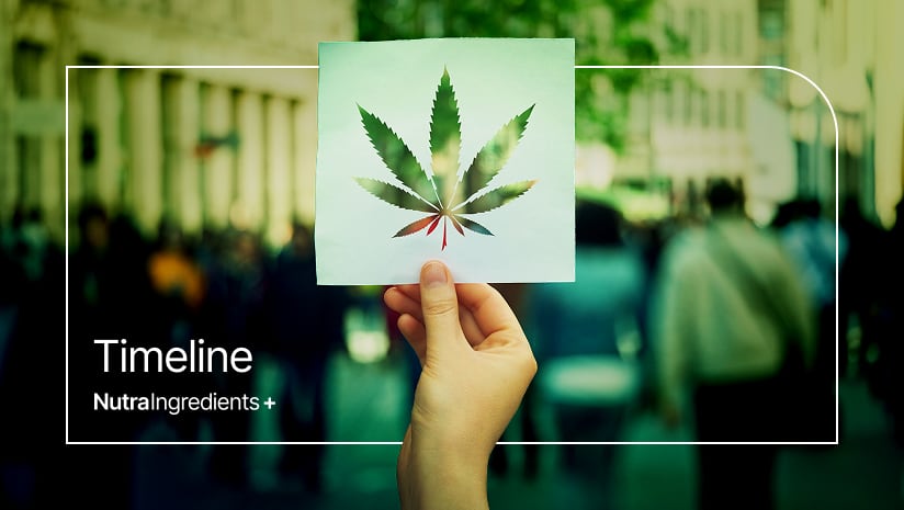 Timeline: Is CBD heading towards a frozen market in the UK? 