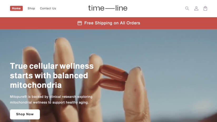 U.S. court shuts down fraudulent Timeline copycat