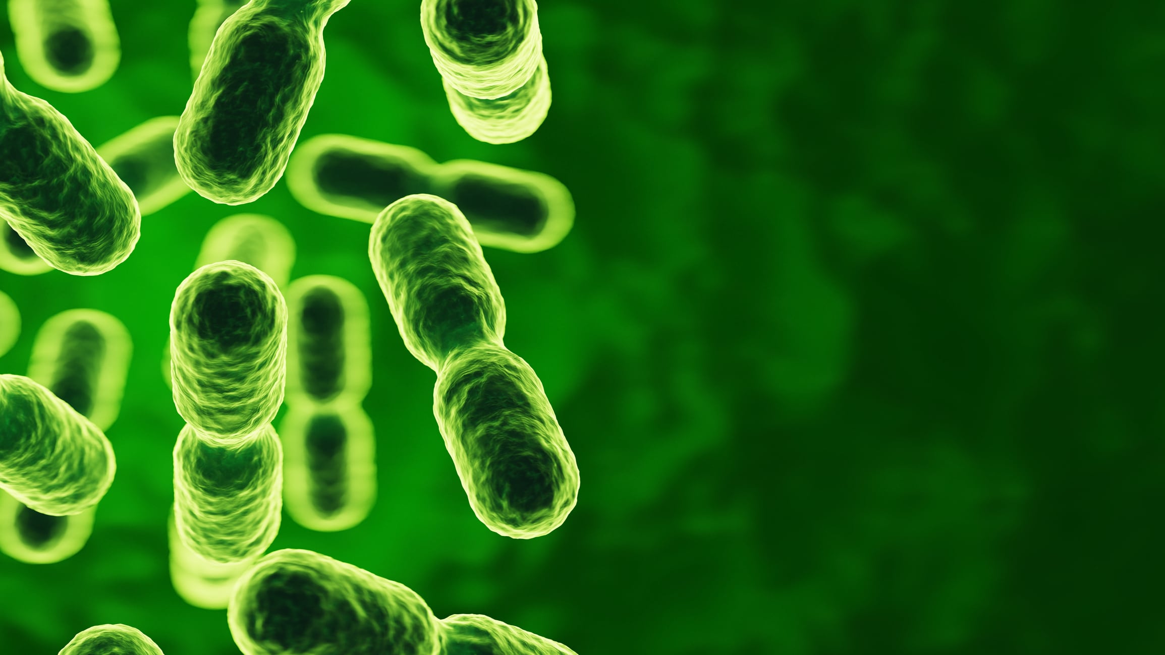 bioM&eacute;rieux launches rapid PCR assay for probiotic species