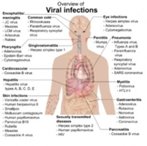Viral-Infection