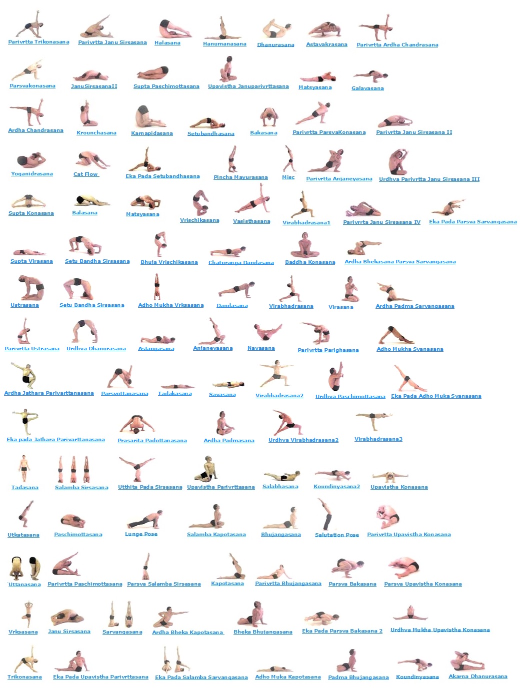 100 Yoga Postures for all