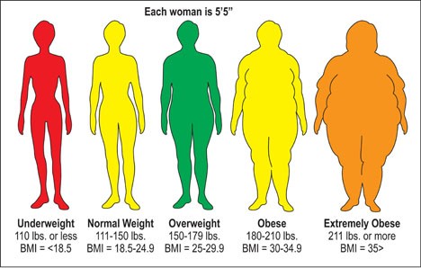 BMI Chart for Women