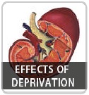 Effects of Deprivation