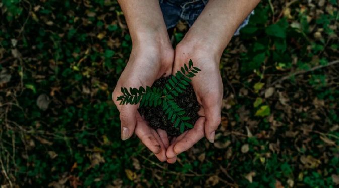 https://healthylife.werindia.com/picture-of-the-day/earth-day-cleaning-planet