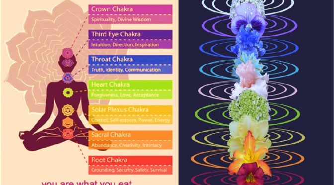 You are what you eat