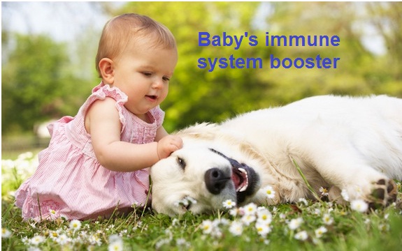 Benefits for Baby’s Immune System