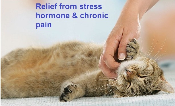 Relief from that Chronic pain