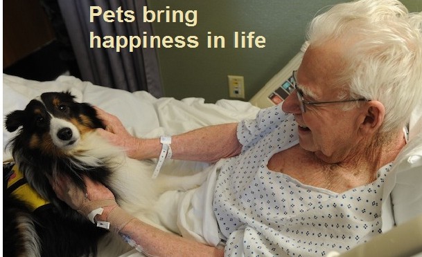 Pets are Natural mood Enhancers!