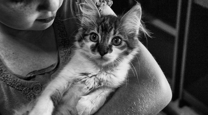 PET THERAPY: PET LOVE IS THE BEST MEDICINE