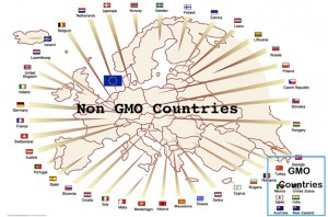 Another country banned GMOs: Germany Follows Scotland’s Lead And Opts To Ban GMOs