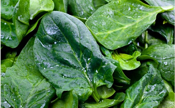 Spinach and Other Greens