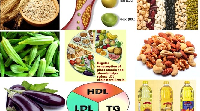 CHOLESTEROL REDUCING FOODS, WHERE ARE THEY?
