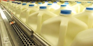 Harvard scientist urges people to stop drinking “low-fat” milk