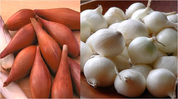 Shallots & Pearl onions