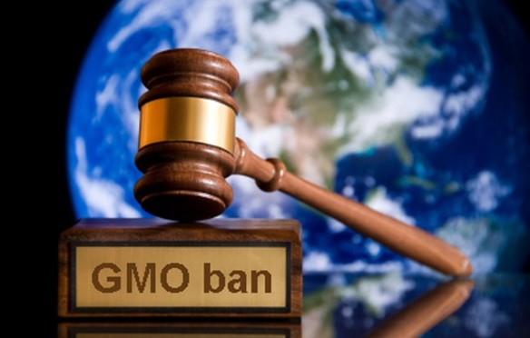 Seed Patenting is banned in Venezuvela!