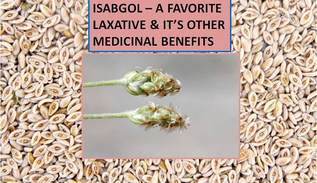 ISABGOL - A WONDERFUL & FAVORITE MEDICINE OF ALL