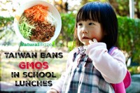 Taiwan Bans GMOs In School Meals-Healthylife -WeRIndia