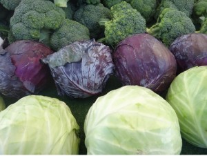 Broccoli & Cabbage