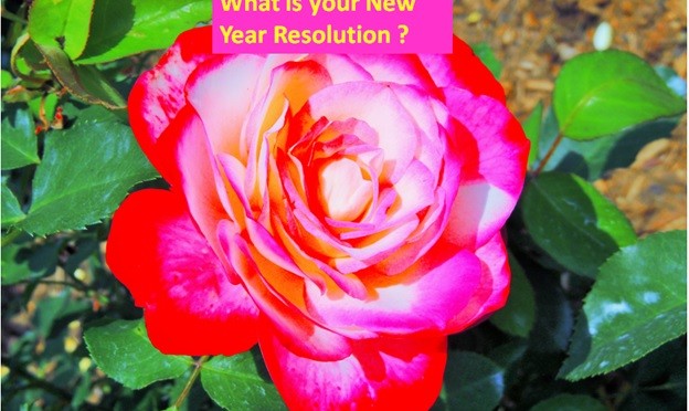 New Year Resolutions