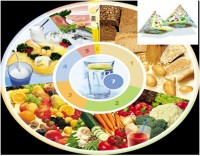 Nutrition Circle & 3D pyramid German Food guidelines