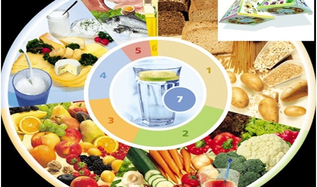 Nutrition Circle & 3D pyramid German Food guidelines