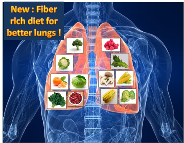 FIBER RICH DIET CAN HELP TO REDUCE RISK OF LUNG DISEASES