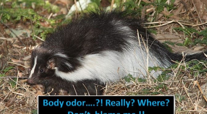 EMBARASSING BODY ODOR - HOW TO FIX THE PROBLEM?