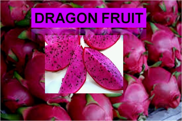 Dragon Fruit - Click here to Read