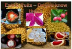 EXOTIC FRUIT WORLD - DO YOU KNOW THESE FRUITS?