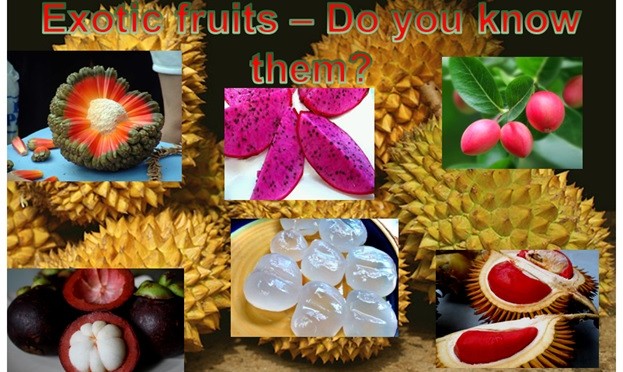 EXOTIC FRUIT WORLD - DO YOU KNOW THESE FRUITS?