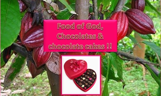 Food of God , Chocolate & Chocolate cakes