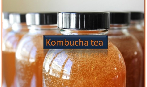 Kombucha tea (fermented tea)