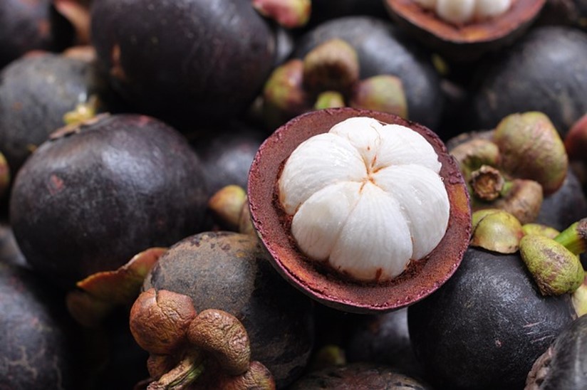 Mangosteen - Click here to Read 