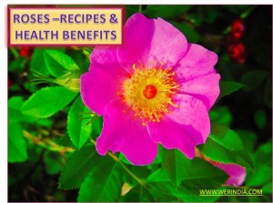 CULINARY USE OF ROSE AND ITS BENEFITS