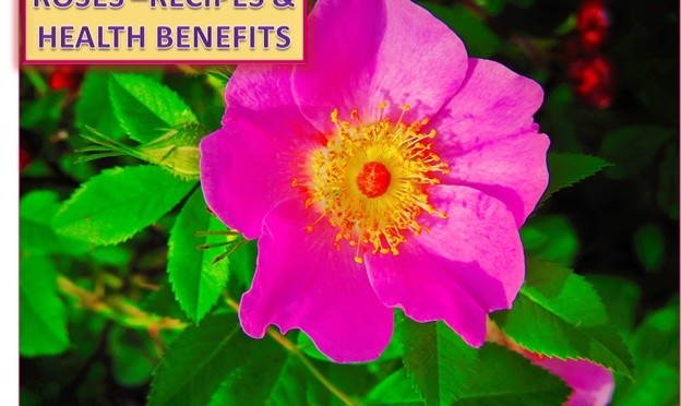 CULINARY USE OF ROSE AND ITS BENEFITS