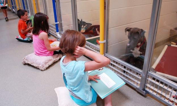 The Shelter Buddy Reading Program