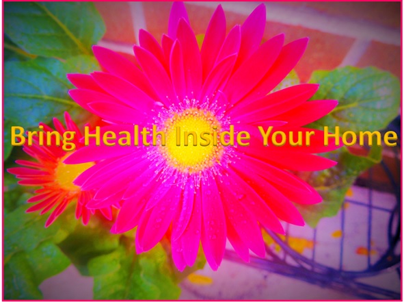 Bring Health Inside Your Home