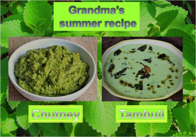 Grandma's Summer Recipe - Tambuli