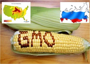 Russia Bans U.S. Corn and Soybean Imports Because Of GMO Contamination