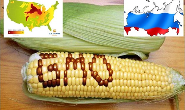 Russia Bans U.S. Corn and Soybean Imports Because Of GMO Contamination