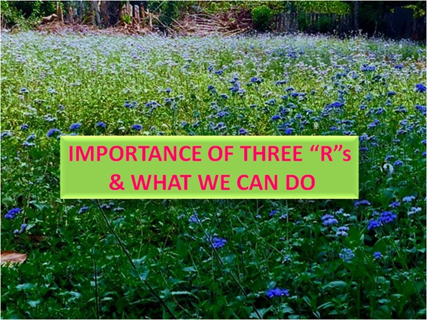Importance of Three Rs & What we can do