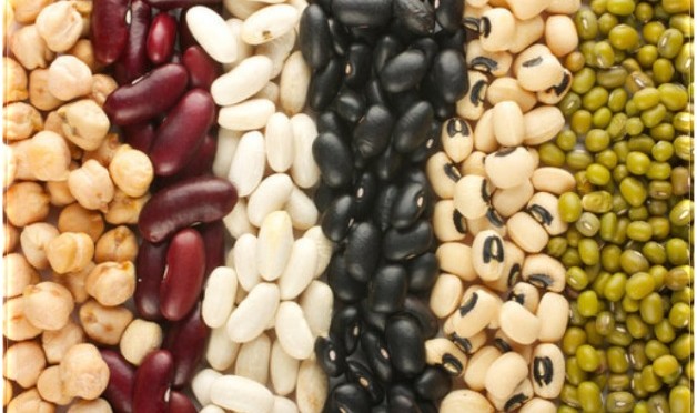 Healthy Food - Beans